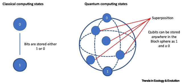 Qubit Diagram